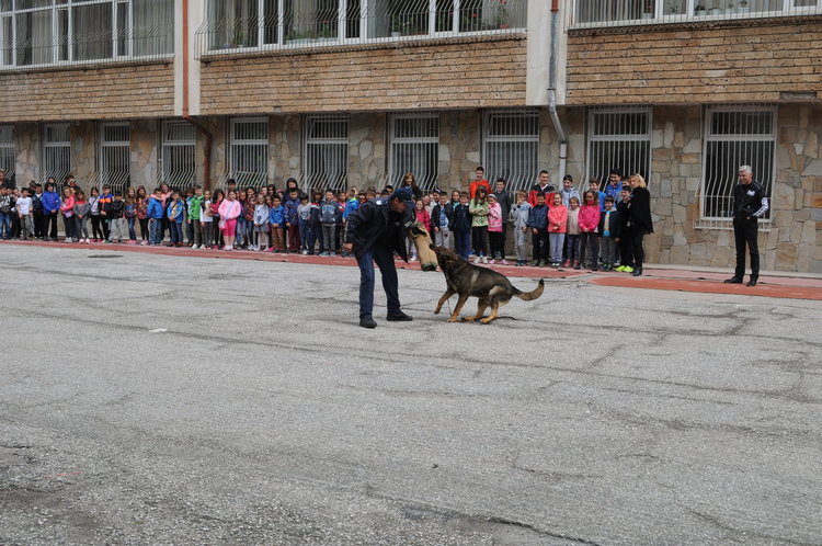 Полицейското куче Рекс показа как се задържа нарушител пред ученици 