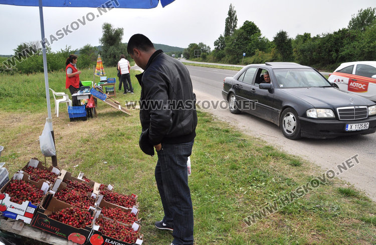 Първите череши край Крепост опровергаха опасенията за рекордни цени