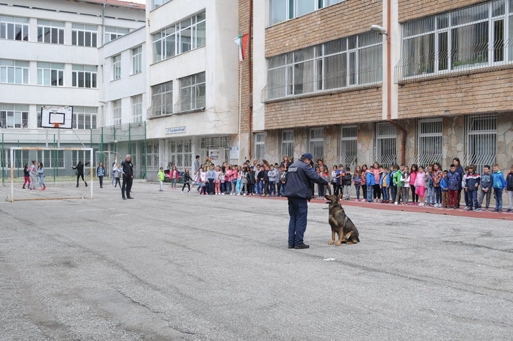 Полицейското куче Рекс показа как се задържа нарушител пред ученици 