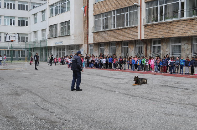 Полицейското куче Рекс показа как се задържа нарушител пред ученици 