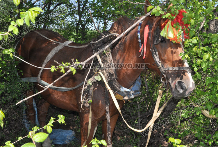 Снимката е илюстративна