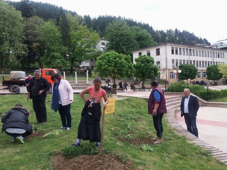 20 хиляди летни цветя ще разкрасяват Смолян 