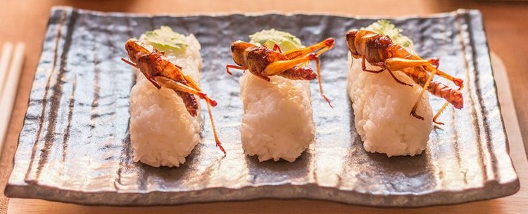 Насекоми вместо месо за по-устойчиво бъдеще