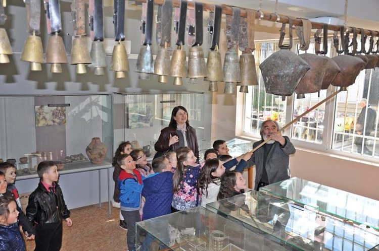 Показват уникална вкаменелост на риба в Момчилград