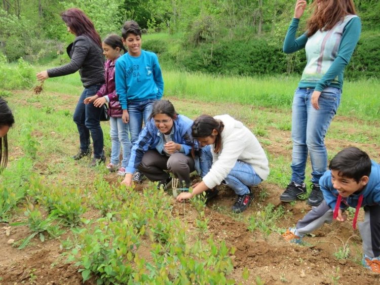 „По пътя на семенцето" отведе деца в Горския разсадник в село Смилян с ЮЦДП-Смолян