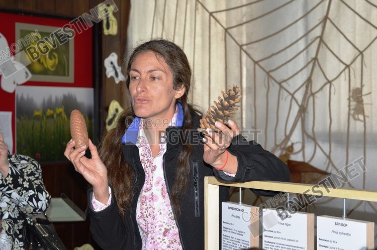 Тайните на шишарката разгадаваха деца от група "Мечо пух" в Историческия музей 