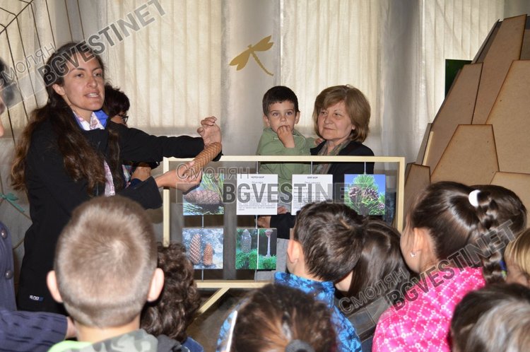 Тайните на шишарката разгадаваха деца от група "Мечо пух" в Историческия музей 