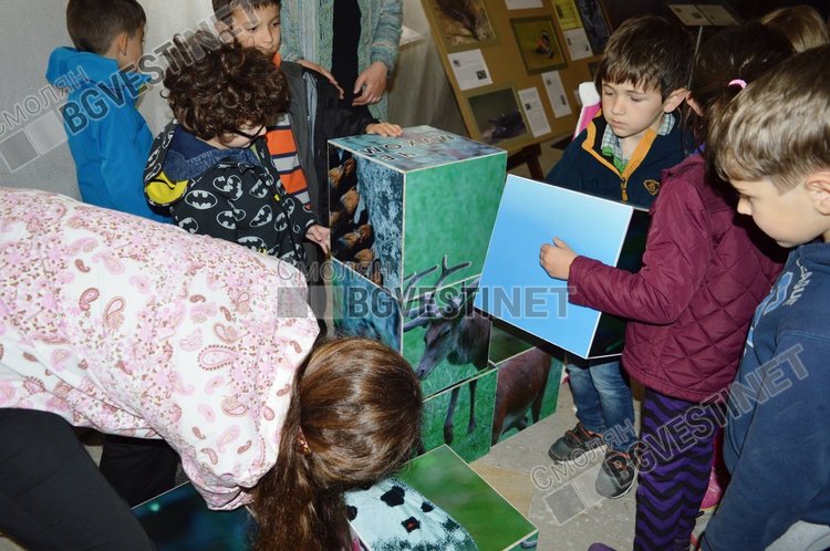 Тайните на шишарката разгадаваха деца от група "Мечо пух" в Историческия музей 