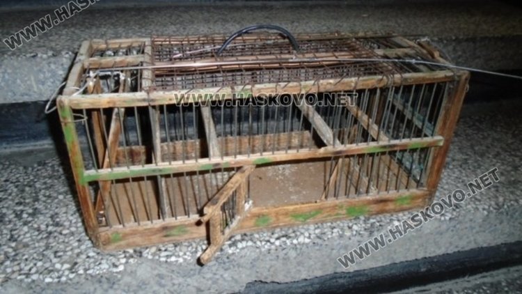 Празната вече клетка, използвана за улова