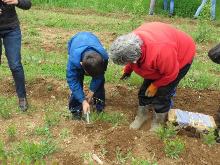 „По пътя на семенцето" отведе деца в Горския разсадник в село Смилян с ЮЦДП-Смолян