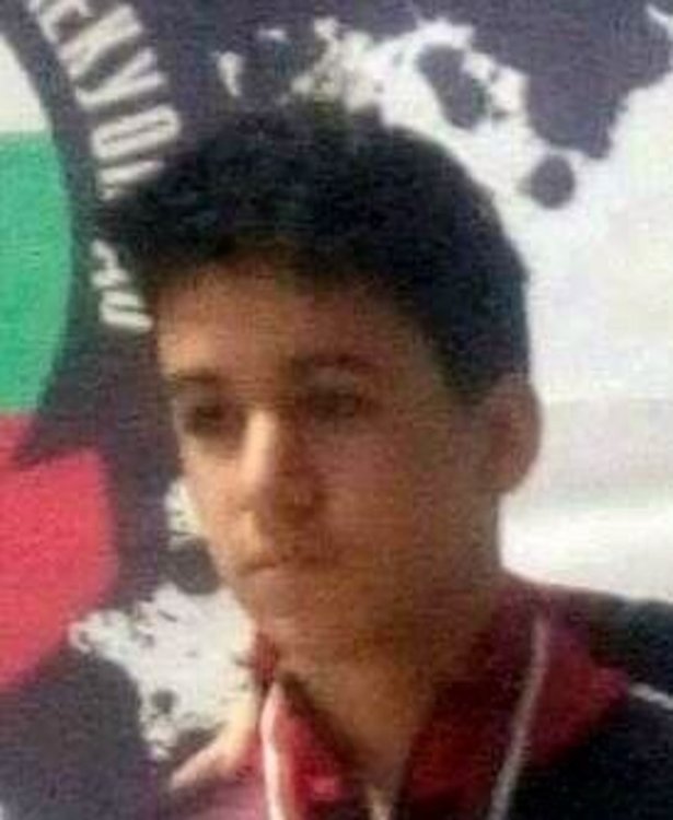 Виждали ли сте Иван-Александър и Цветозара?