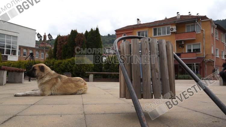 Общината ще иска по-строги мерки и санкции за вандализъм, ще показват лицата на хулиганите, заснети от видеокамери