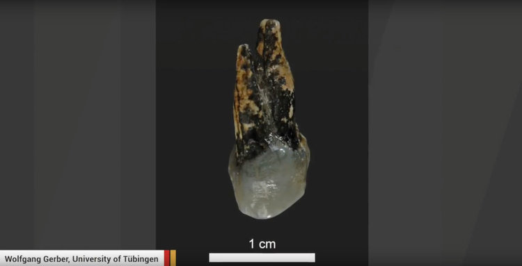 Балканите са люлката на човечеството