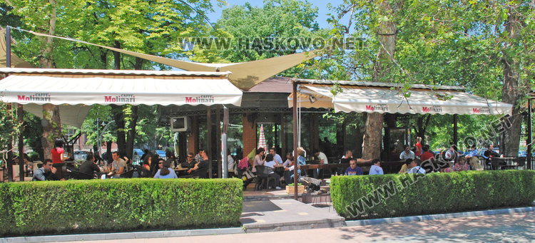 15 ученици с разрешителни за работа