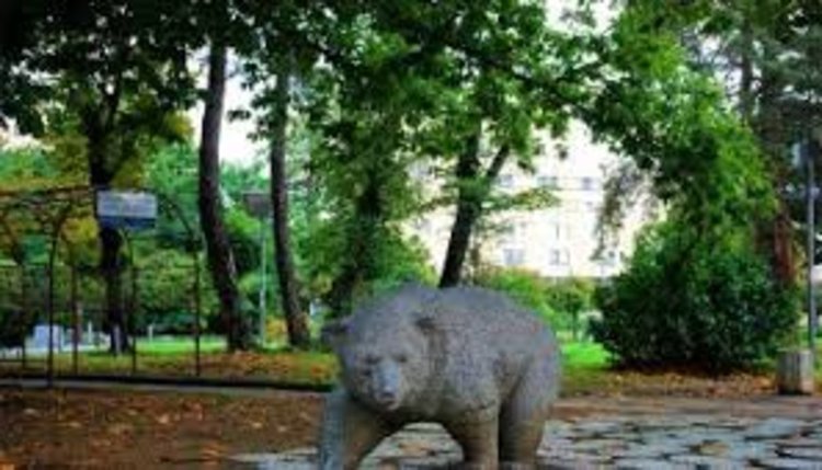 Търсят се снимки от детството с мечката в парка