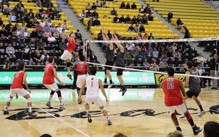Волейболната ни звезда Димитър Калчев се отдава на плажен волейбол,ще громи руснаци в Австрия
