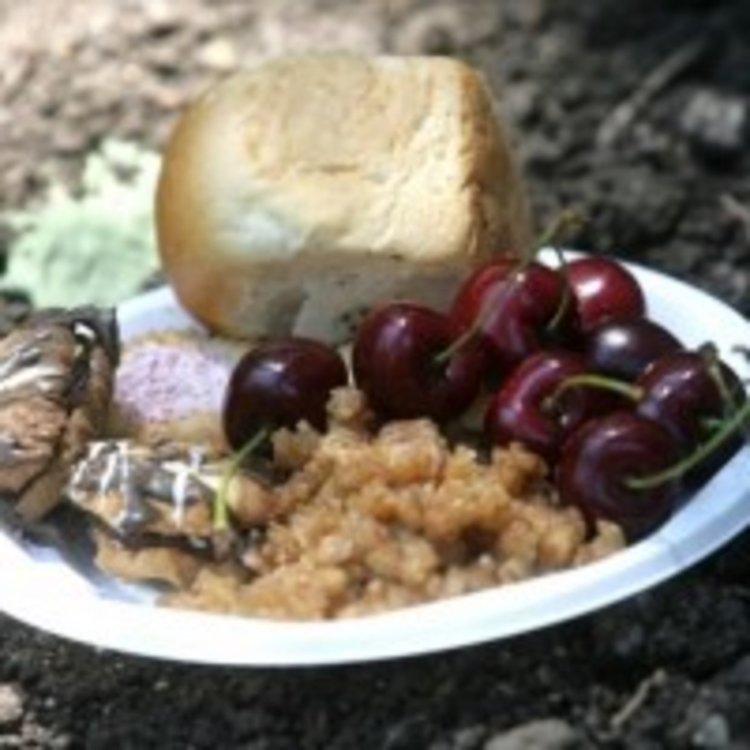 Организира се автобусна линия до гробищата за задушница