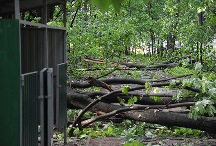 Най-смъртоносният ураган в Москва от 100 години насам