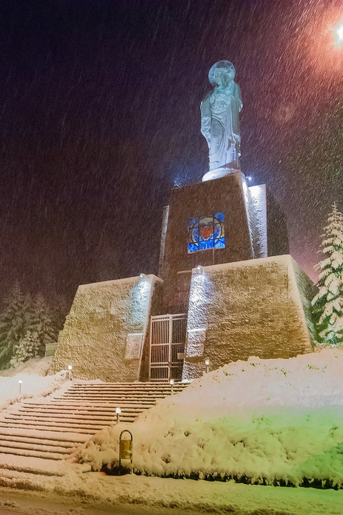 Снимката на Петя Димитрова