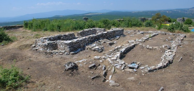 Лютица. Сн.: НИМ