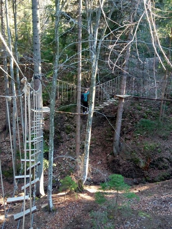 Горски парк "Амзово" отново отваря врати за малките и големи любители на приключения