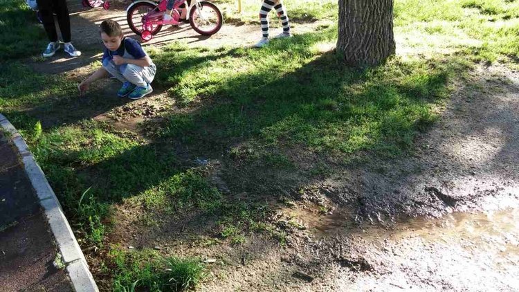 Детската площадка в парк "Вапцаров" потъна в кал, търсят причината