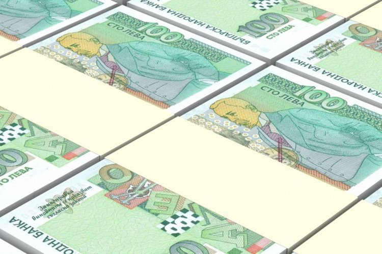 DW: Да уеднаквим доходите, пък тогава да мислим за еврото