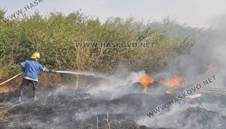Пожарната: наближава жътвата, не палете стърнища и огън до горите