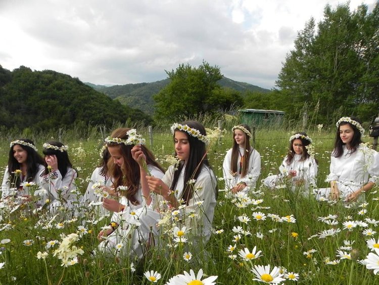 Фестивал на дивите цветя по Еньовден събира хората в селата от Ардинското корито