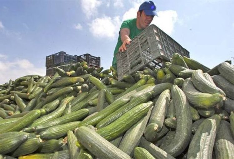 70 процента от белите роби в чужбина са мъже