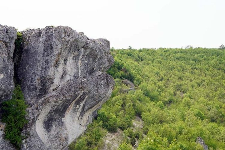 Скалата – куче