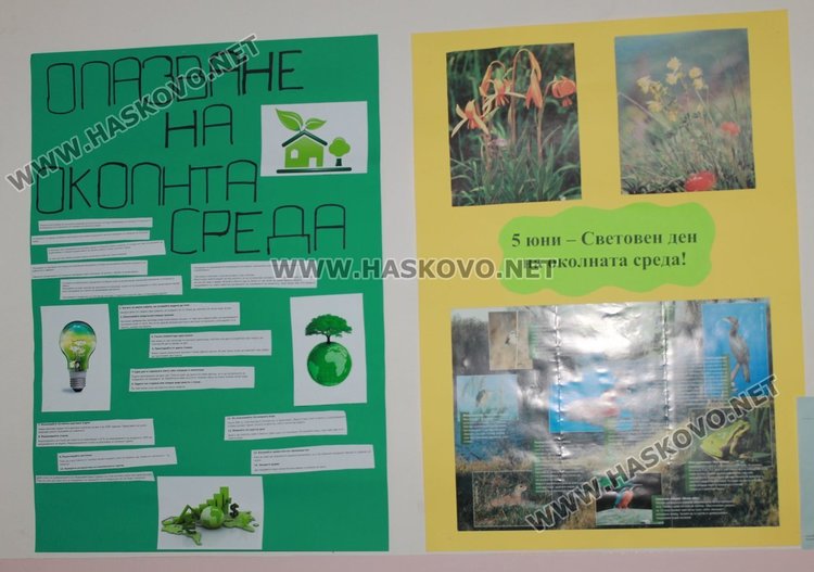 Как Каравеловци отбелязаха Световния ден на околната среда?