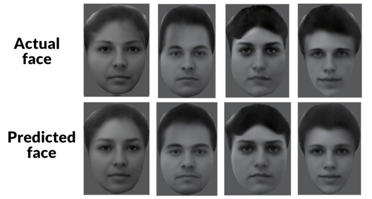 Лицата в човешкия мозък се кодират само с 205 неврона (видео)