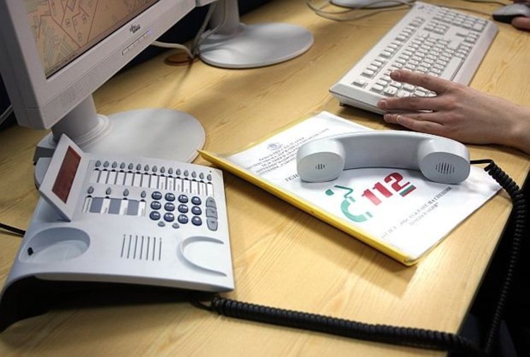 Пожарникари рязаха надвиснали клони, търсиха змия и гониха оси