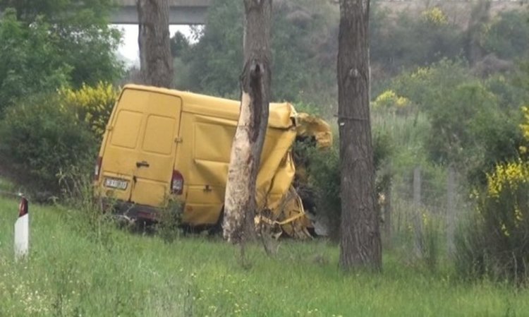 18-годишен ром - връзката на каналджиите с Трайчо
