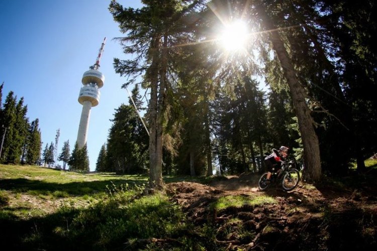 Пампорово домакинства на Генералната асамблея на Интерски Интернешънъл