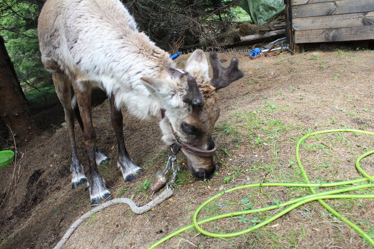 РИОСВ – Смолян организира няколко инициативи за Световния ден на околната среда 
