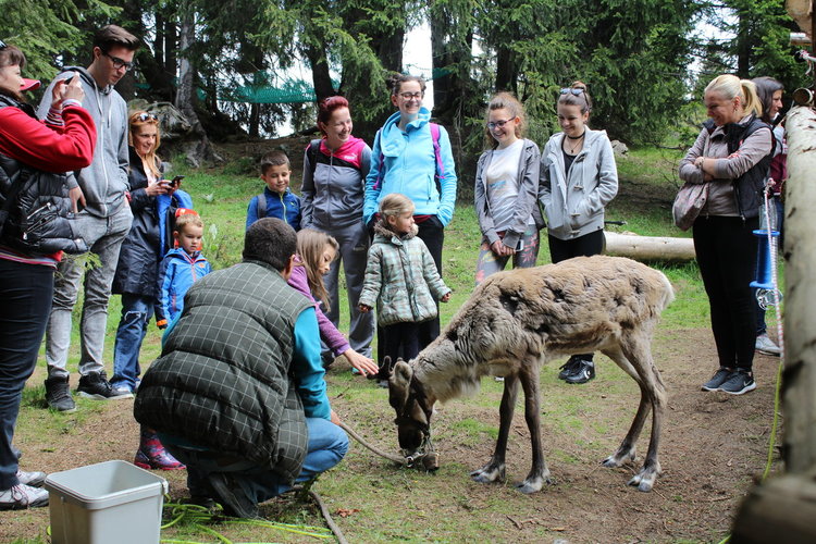РИОСВ – Смолян организира няколко инициативи за Световния ден на околната среда 