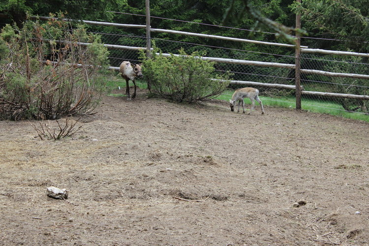 РИОСВ – Смолян организира няколко инициативи за Световния ден на околната среда 
