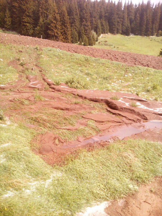 Градушка и порои унищожиха 80 декара с посяти картофи в Момчиловци