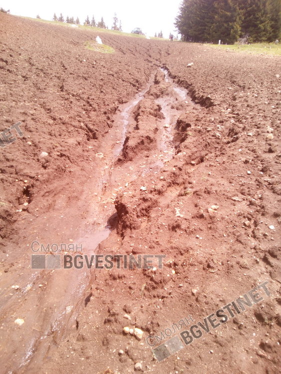 Градушка и порои унищожиха 80 декара с посяти картофи в Момчиловци