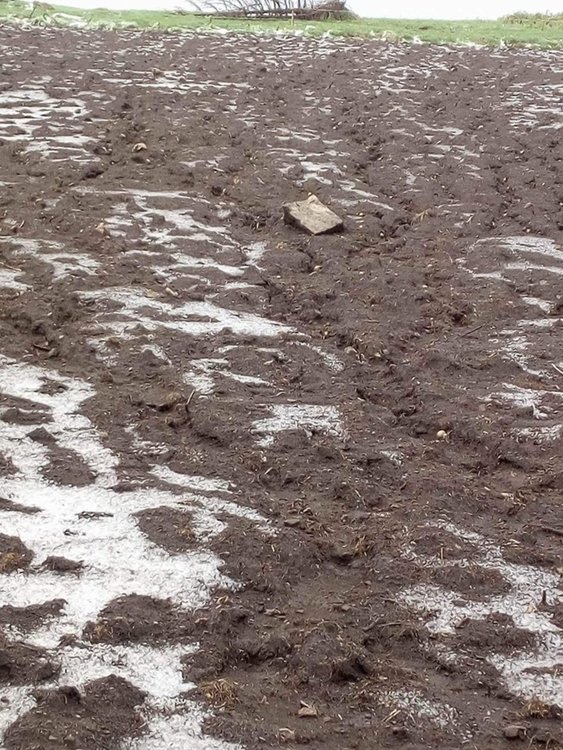 Градушка и порои унищожиха 80 декара с посяти картофи в Момчиловци