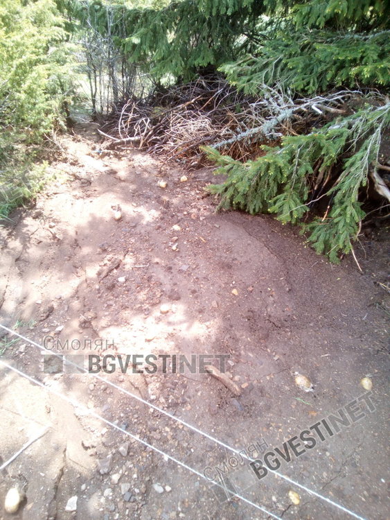 Градушка и порои унищожиха 80 декара с посяти картофи в Момчиловци