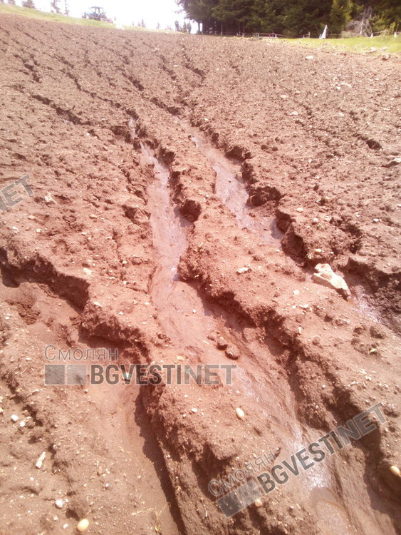 Градушка и порои унищожиха 80 декара с посяти картофи в Момчиловци