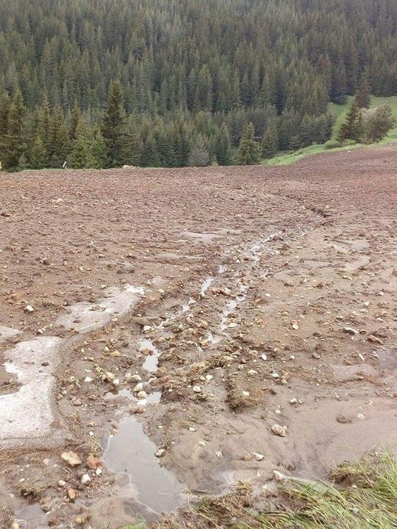 Градушка и порои унищожиха 80 декара с посяти картофи в Момчиловци