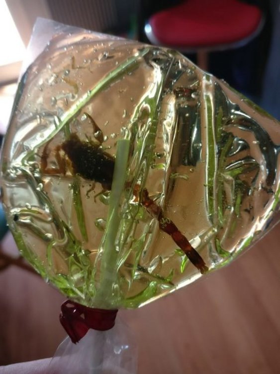 Microsoft разпраща скорпиони на журналисти