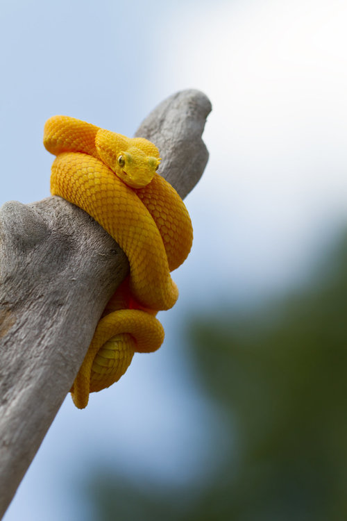 11 места забранени за посещение