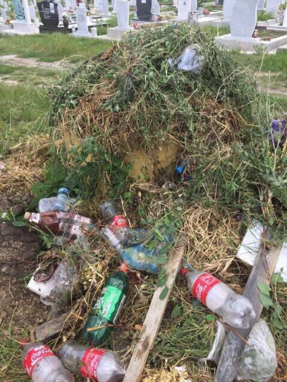 Снимката е читателска