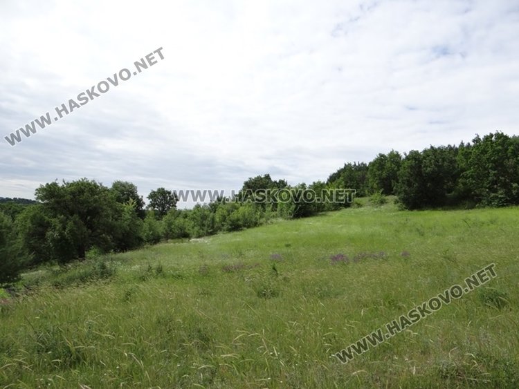 местообитанието на уникалния вид в Сакар