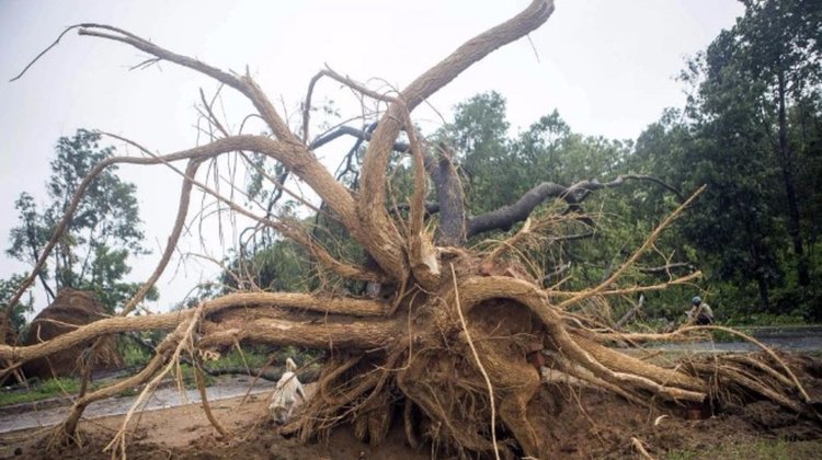 Свлачища в Бангладеш убиха най-малко 26 човека